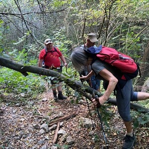 herausfordernder Waldweg im Kremstal