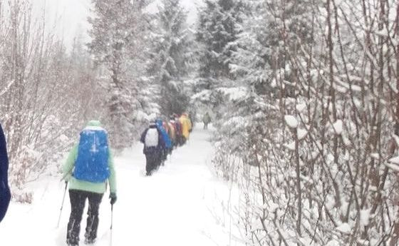 Im Gänsemarsch durch den Schnee