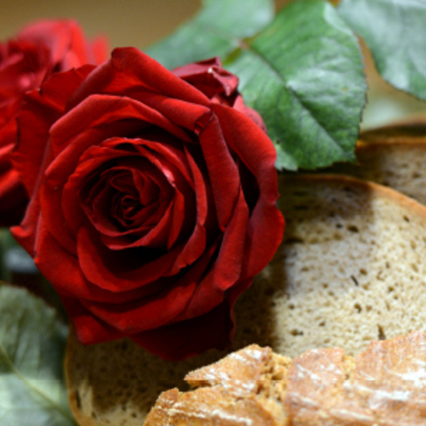 Brot und Rosen