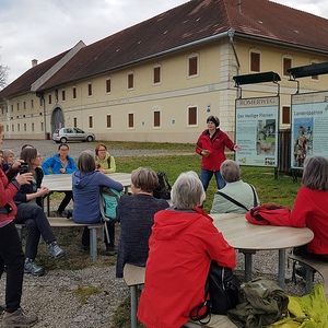 2. Impuls vor dem Sumerauerhof