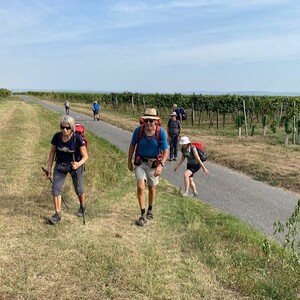 unterwegs in den Weingärten Richtung Gneixendorf